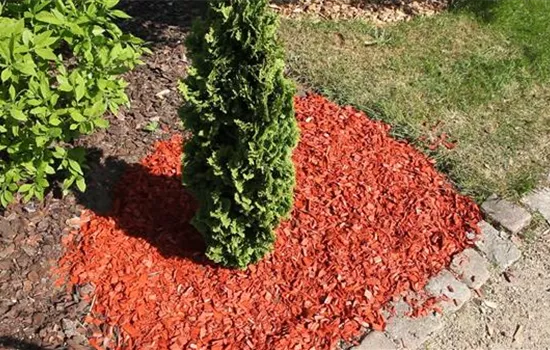 Mulch - Einsatz im Garten