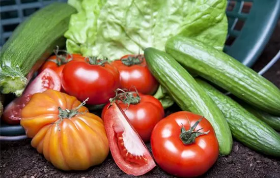 Von Artischocke bis Zucchini: alles für den Bauerngarten