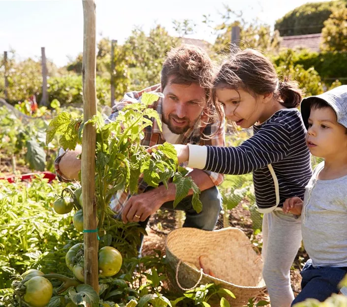 1A_Garten_soziales_Engagement.jpg